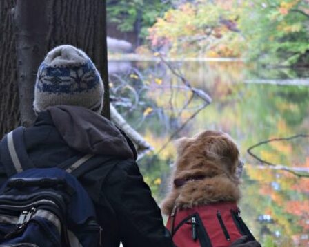 Hiking-with-Dogs-at-Durand-Eastman-Park-1140x760 (1)