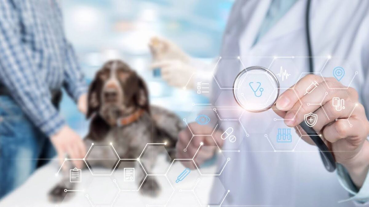 Local SEO for Veterinary Practices