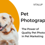 Pet Photography | The power of quality pet photos in pet marketing