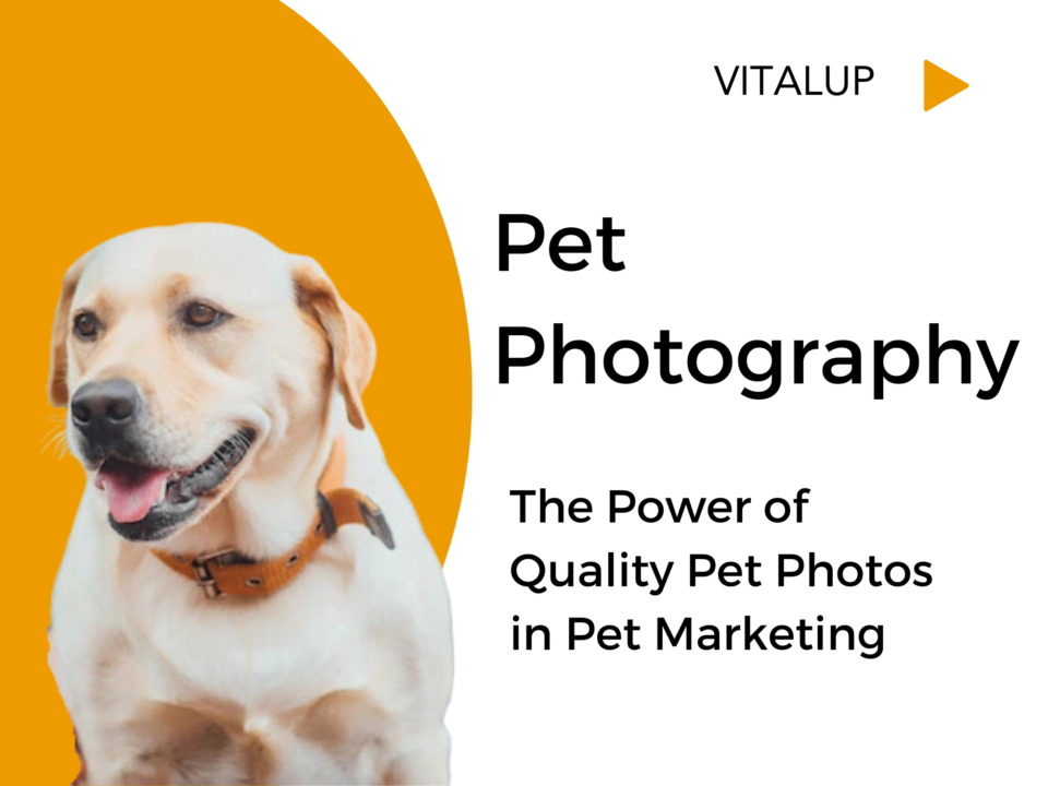 Pet Photography | The power of quality pet photos in pet marketing