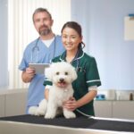 Start Building Marketing Presence For Vets