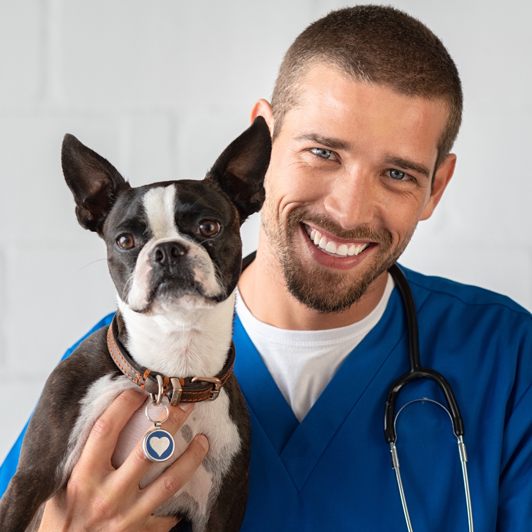 Smiling pet owner with a healthy cat at a modern veterinary clinic