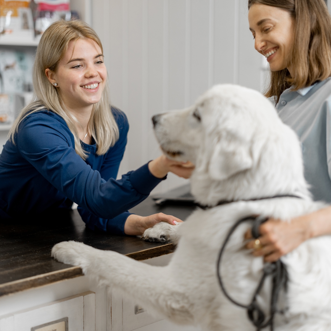 Building trust through local events, partnerships, and pet care workshops strengthens your clinic’s connection with the community.