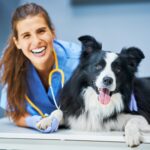 Vet clinic branding with pet silhouette, logo, and trustful typography