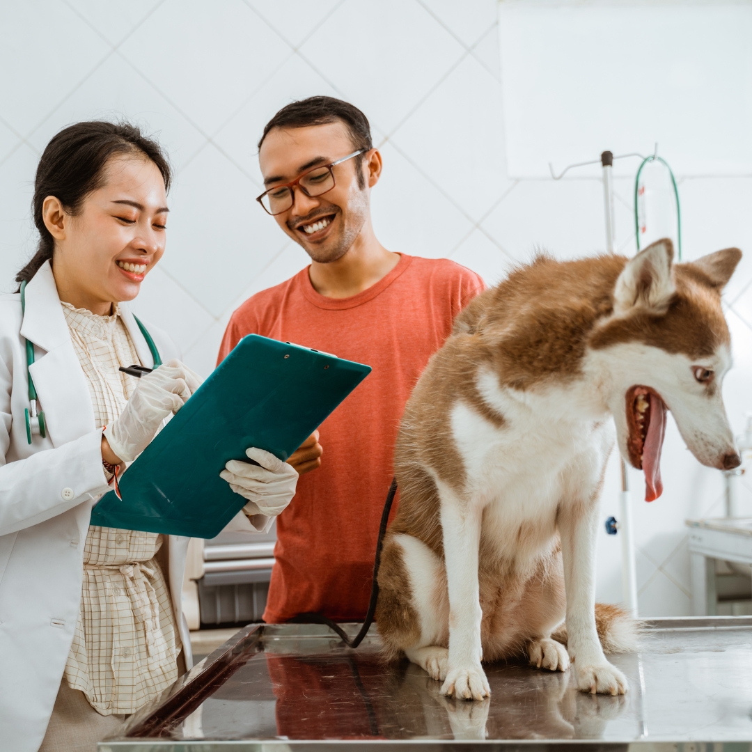 Vet clinic appointment scheduling system
