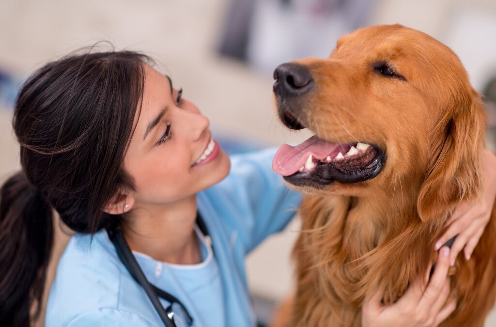 Veterinarian creating video content with a pet