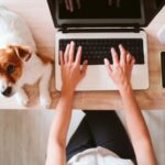 Vet with pet owner highlighting local SEO for clinics