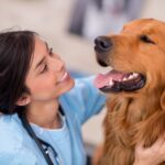 Veterinary clinic marketing to attract clients and grow practice