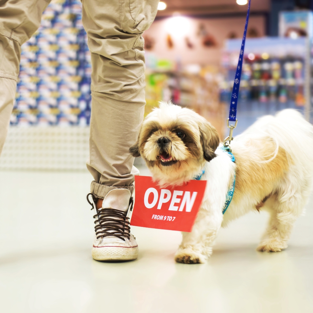 Pet store community partnerships to boost foot traffic