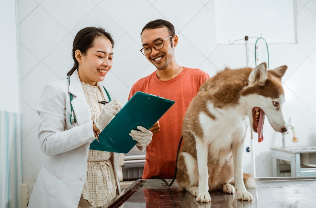 Local SEO helps veterinary clinics get found by pet owners searching nearby.
