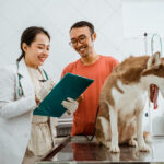 Local SEO helps veterinary clinics get found by pet owners searching nearby.