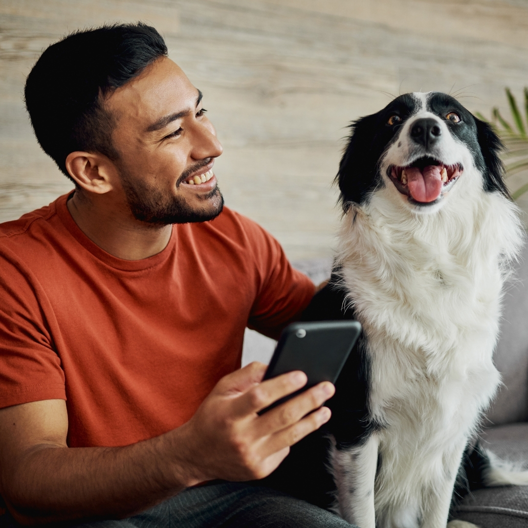 Veterinary clinic mobile optimization with local SEO best practices