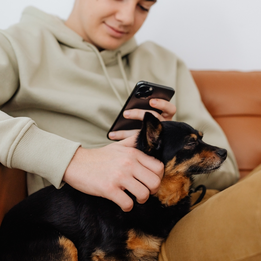 Pet owner booking grooming session on phone – mobile-friendly design